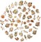 100 Pcs Autumn Flower Stickers for Scrapbooking (Autumn) 2.2 x 2.2 x 0.01 inches